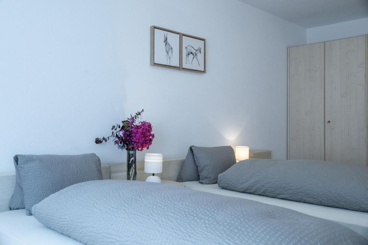 Hotel Alpina Schiers Extérieur photo